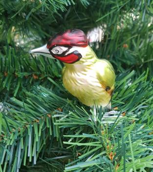 Preview: Grünspecht